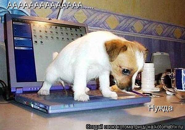 Котоматрица: АААААААААААААА..... Нужда