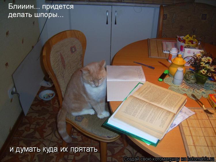 Котоматрица: и думать куда их прятать и думать куда их прятать