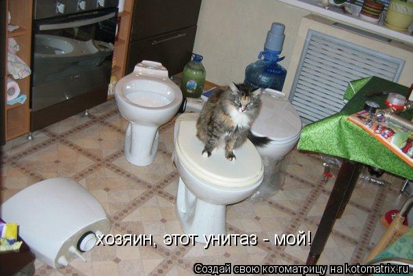 Котоматрица: хозяин, этот унитаз - мой!