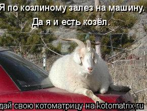 Котоматрица: Я по козлиному залез на машину. Да я и есть козёл.
