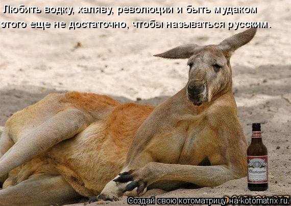 Любить водку, халяву, революции и быть мудаком этого еще не достаточно, чтобы называться русским.... Котоматрица: Любить водку, халяву, революции и быть мудаком этого еще не достаточно, чтобы называться русским.
