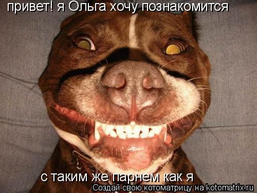 Котоматрица: привет! я Ольга хочу познакомится с таким же парнем как я