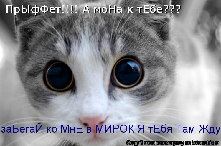 ПрЫфФет!!!! А моНа к тЕбе??? заБегаЙ ко МнЕ в МИРОК!Я тЕбя Там Жду... Котоматрица: ПрЫфФет!!!! А моНа к тЕбе??? заБегаЙ ко МнЕ в МИРОК!Я тЕбя Там Жду