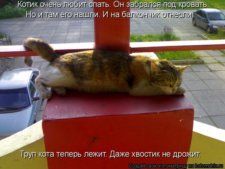 Котик очень любит спать. Он забрался под кровать. Но и там его нашли. И на балкончик отнесли. Труп ко... Котоматрица: Котик очень любит спать. Он забрался под кровать. Но и там его нашли. И на балкончик отнесли. Труп кота теперь лежит. Даже хвостик не дрожит.