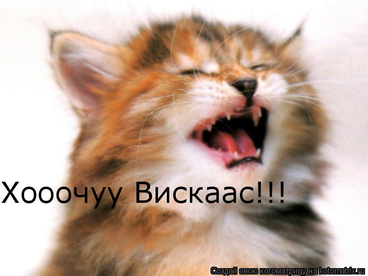 Хооочуу Вискаас!!!... Котоматрица: Хооочуу Вискаас!!!