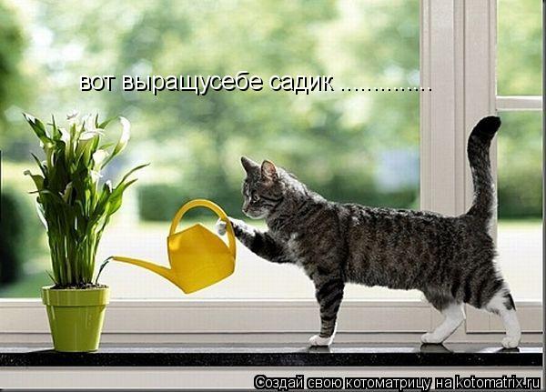 Котоматрица: вот выращусебе садик ..............
