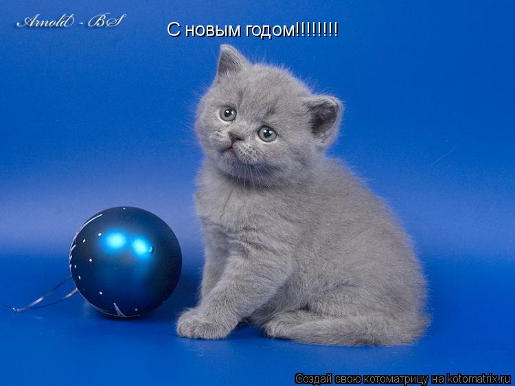 Котоматрица: С новым годом!!!!!!!!
