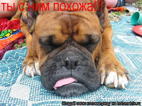 ты с ним похожа!!!... Котоматрица: ты с ним похожа!!!