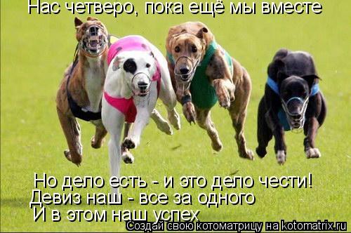 Котоматрица: Нас четверо, пока ещё мы вместе Но дело есть - и это дело чести! Девиз наш - все за одного И в этом наш успех