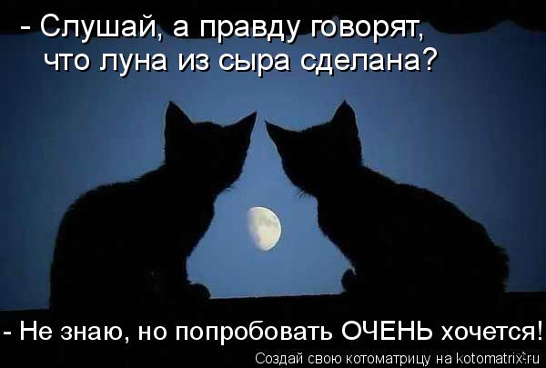 - Слушай, а правду говорят, что луна из сыра сделана? - Не знаю, но попробовать ОЧЕНЬ хочется!... Котоматрица: - Слушай, а правду говорят, что луна из сыра сделана? - Не знаю, но попробовать ОЧЕНЬ хочется!
