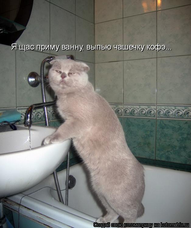 Я щас приму ванну, выпью чашечку кофэ...... Котоматрица: Я щас приму ванну, выпью чашечку кофэ...