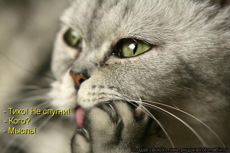 - Тихо! Не спугни! - Кого? - Мысль!... Котоматрица: - Тихо! Не спугни! - Кого? - Мысль!