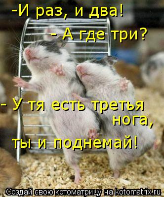 -И раз, и два! - А где три? - У тя есть третья нога, ты и поднемай!... Котоматрица: -И раз, и два! - А где три? - У тя есть третья нога, ты и поднемай!