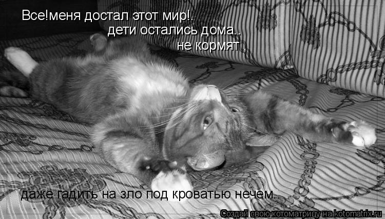 Все!меня достал этот мир!. дети остались дома.. не кормят , даже гадить на зло под кроватью нечем..... Котоматрица: Все!меня достал этот мир!. дети остались дома.. не кормят , даже гадить на зло под кроватью нечем..