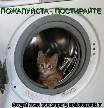 Котоматрица: ПОЖАЛУЙСТА - ПОСТИРАЙТЕ