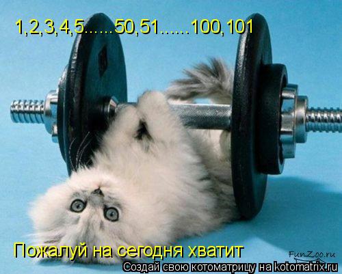 1,2,3,4,5......50,51......100,101 Пожалуй на сегодня хватит... Котоматрица: 1,2,3,4,5......50,51......100,101 Пожалуй на сегодня хватит