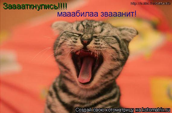 Зааааткнулись!!!! мааабилаа звааанит!... Котоматрица: Зааааткнулись!!!! мааабилаа звааанит!