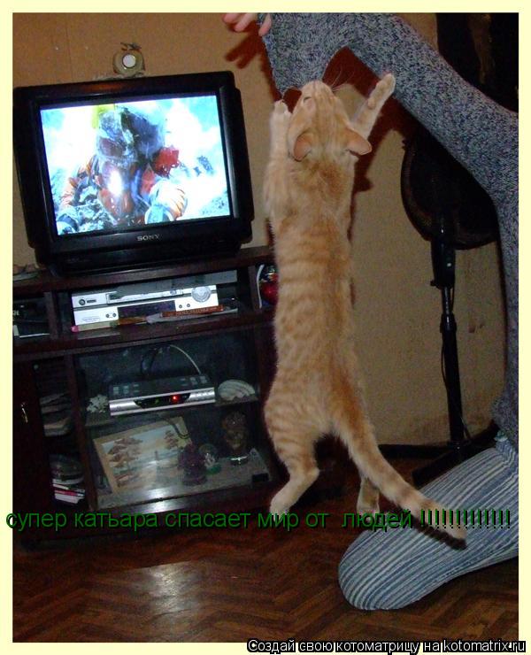 супер катьара спасает мир от людей !!!!!!!!!!!!!... Котоматрица: супер катьара спасает мир от людей !!!!!!!!!!!!!