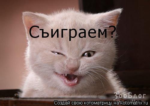 Съиграем?... Котоматрица: Съиграем?