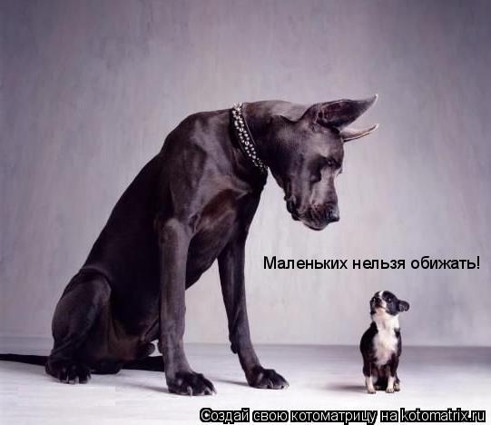 Котоматрица: Маленьких нельзя обижать!