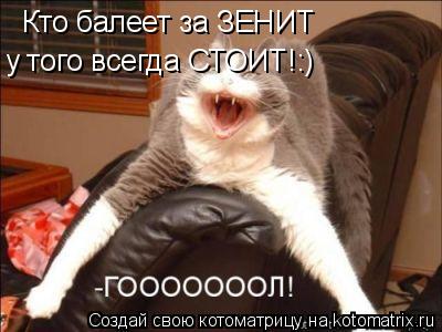 Котоматрица: Кто балеет за ЗЕНИТ  у того всегда СТОИТ!:)