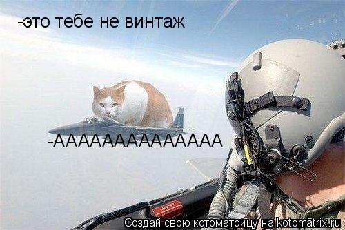 Котоматрица: -это тебе не винтаж -АААААААААААААА