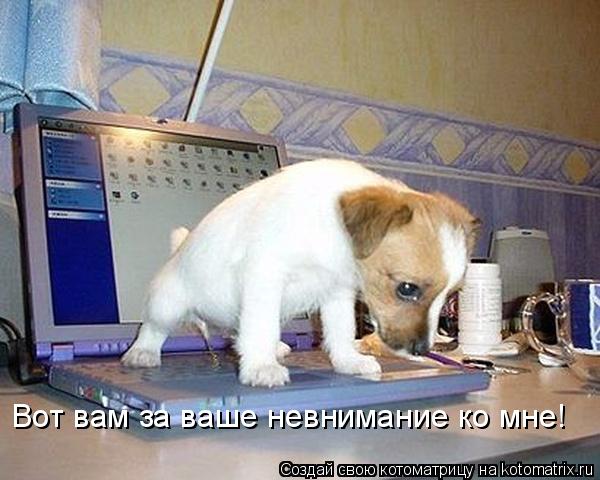 Вот вам за ваше невнимание ко мне!... Котоматрица: Вот вам за ваше невнимание ко мне!