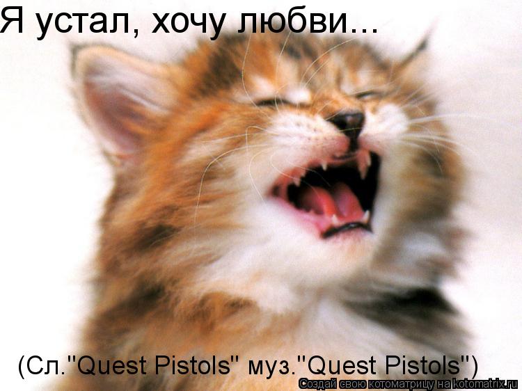 Котоматрица: Я устал, хочу любви... (Сл."Quest Pistols" муз."Quest Pistols")