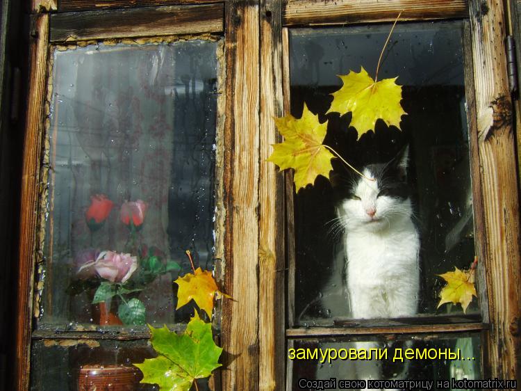 замуровали демоны...... Котоматрица: замуровали демоны...