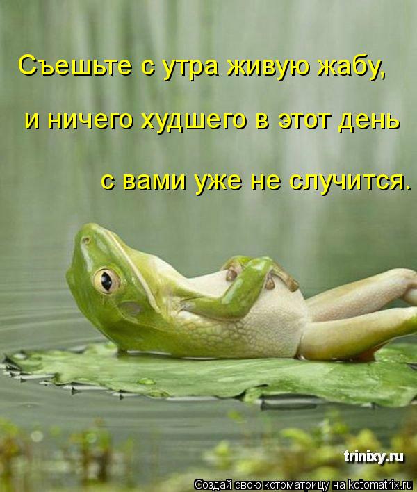 Съешьте с утра живую жабу, и ничего худшего в этот день с вами уже не случится.... Котоматрица: Съешьте с утра живую жабу, и ничего худшего в этот день с вами уже не случится.