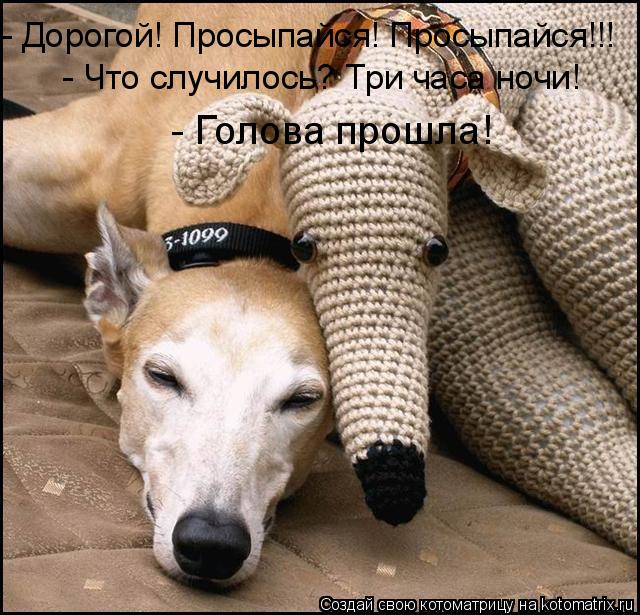 Котоматрица: - Дорогой! Просыпайся! Просыпайся!!!  - Что случилось? Три часа ночи!  - Голова прошла!