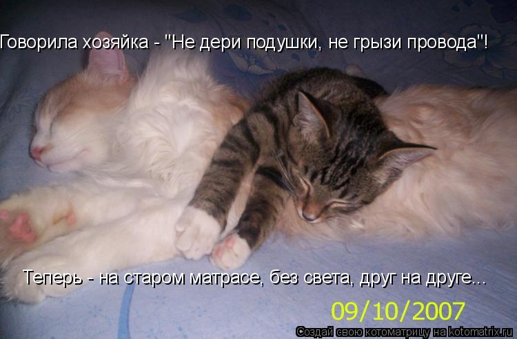 Говорила хозяйка - "Не дери подушки, не грызи провода"! Теперь - на старом матрасе, без света, друг н... Котоматрица: Говорила хозяйка - "Не дери подушки, не грызи провода"! Теперь - на старом матрасе, без света, друг на друге...