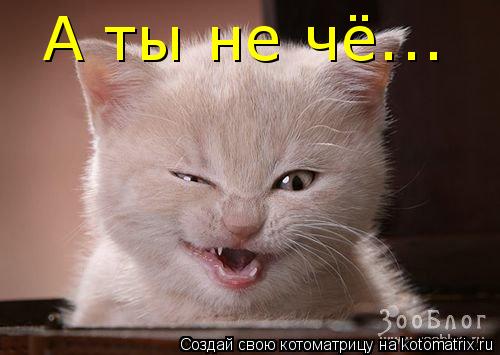 А ты не чё...... Котоматрица: А ты не чё...
