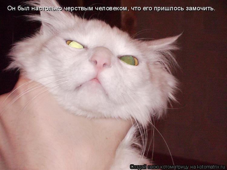 Он был настолько черствым человеком, что его пришлось замочить.... Котоматрица: Он был настолько черствым человеком, что его пришлось замочить.