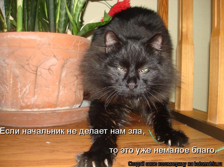 Если начальник не делает нам зла, то это уже немалое благо.... Котоматрица: Если начальник не делает нам зла, то это уже немалое благо.