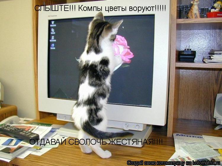 СЛЫШТЕ!!! Компы цветы воруют!!!!! ОТДАВАЙ СВОЛОЧЬ ЖЕСТЯНАЯ!!!!... Котоматрица: СЛЫШТЕ!!! Компы цветы воруют!!!!! ОТДАВАЙ СВОЛОЧЬ ЖЕСТЯНАЯ!!!!