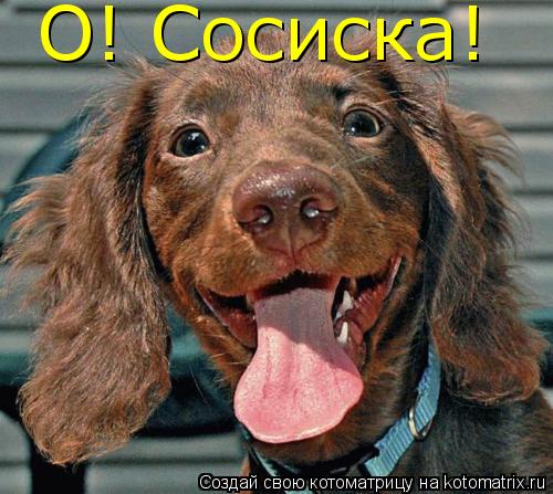 О! Сосиска!... Котоматрица: О! Сосиска!