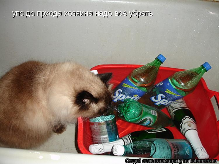 Котоматрица: упс до прхода хозяина надо всё убрать