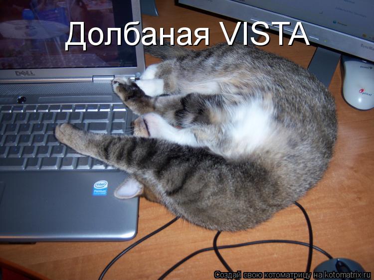 Котоматрица: Долбаная VISTA