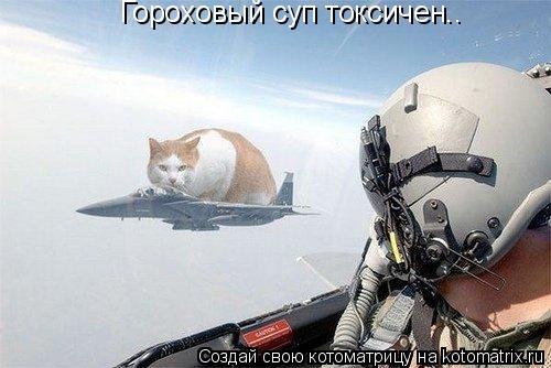 Котоматрица: Гороховый суп токсичен..