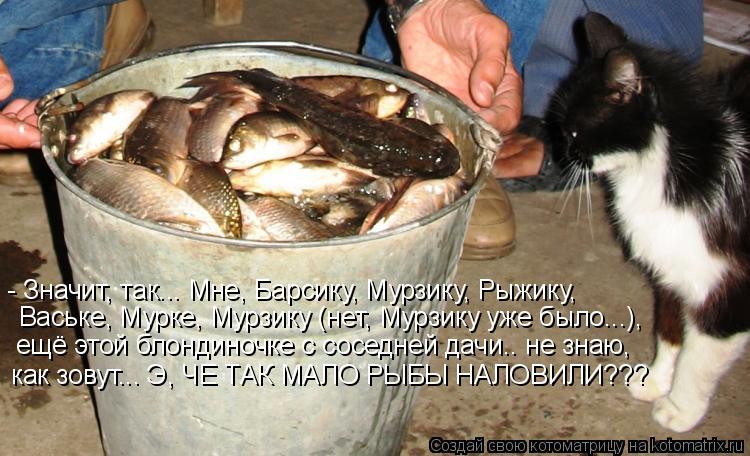 - Значит, так... Мне, Барсику, Мурзику, Рыжику, Ваське, Мурке, Мурзику (нет, Мурзику уже было...), ещ... Котоматрица: - Значит, так... Мне, Барсику, Мурзику, Рыжику, Ваське, Мурке, Мурзику (нет, Мурзику уже было...), ещё этой блондиночке с соседней дачи.. не знаю, ка