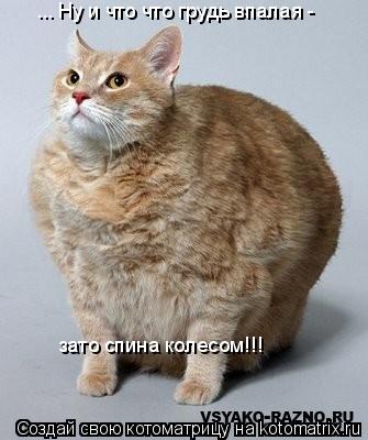 Котоматрица: ... Hy и что что гpyдь впалая -  зато cпина колеcом!!!