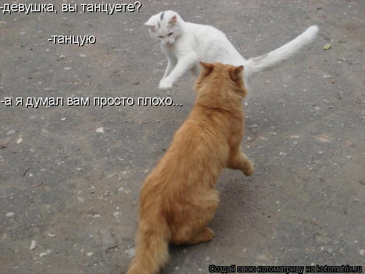 -девушка, вы танцуете? -танцую -а я думал вам просто плохо...... Котоматрица: -девушка, вы танцуете? -танцую -а я думал вам просто плохо...