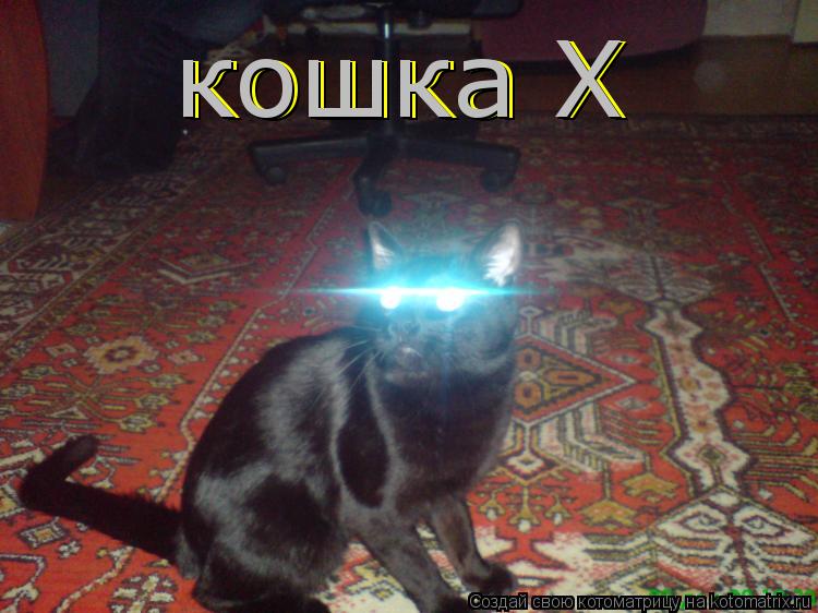 Котоматрица: кошка Х кошка Х