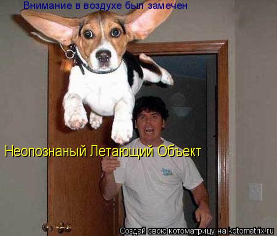 Котоматрица: Внимание в воздухе был замечен  Неопознаный Летающий Объект