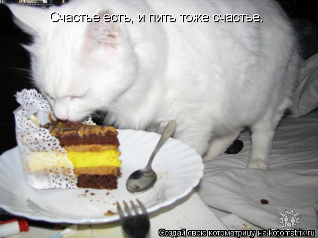 Котоматрица: Счастье есть, и пить тоже счастье.