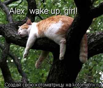 Alex, wake up, girl!... Котоматрица: Alex, wake up, girl!