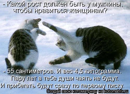 - Какой рост должен быть у мужчины, чтобы нравиться женщинам? Пару лет в тебе души чаять не будут. ... Котоматрица: - Какой рост должен быть у мужчины, чтобы нравиться женщинам? Пару лет в тебе души чаять не будут. - 55 сантиметров. И вес 4,5 килограмма. И приб