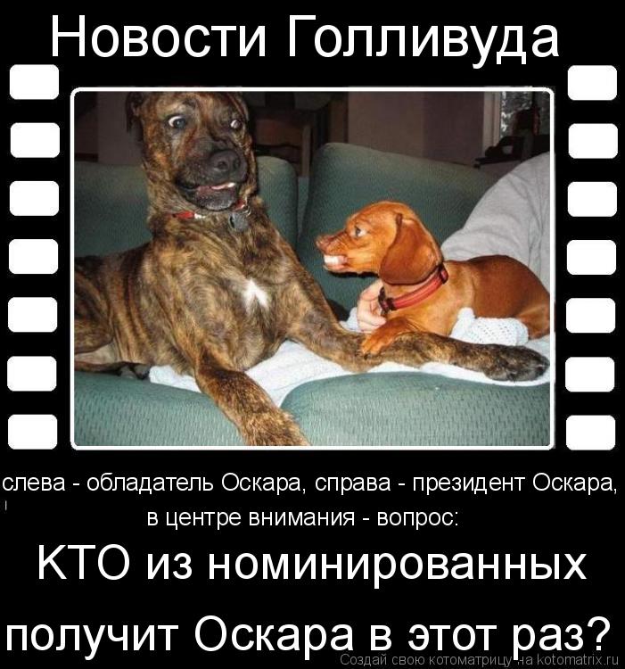 Новости Голливуда слева - обладатель Оскара, справа - президент Оскара, в центре внимания - вопрос: K... Котоматрица: Новости Голливуда слева - обладатель Оскара, справа - президент Оскара, в центре внимания - вопрос: KTO из номинированных получит Оскара в это