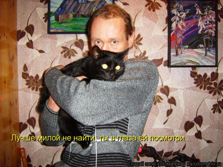 Котоматрица: Лучше милой не найти, ты в глаза ей посмотри...
